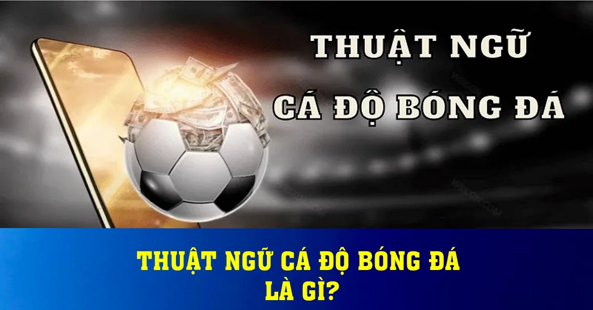 Thuật ngữ cá độ bóng đá là gì?