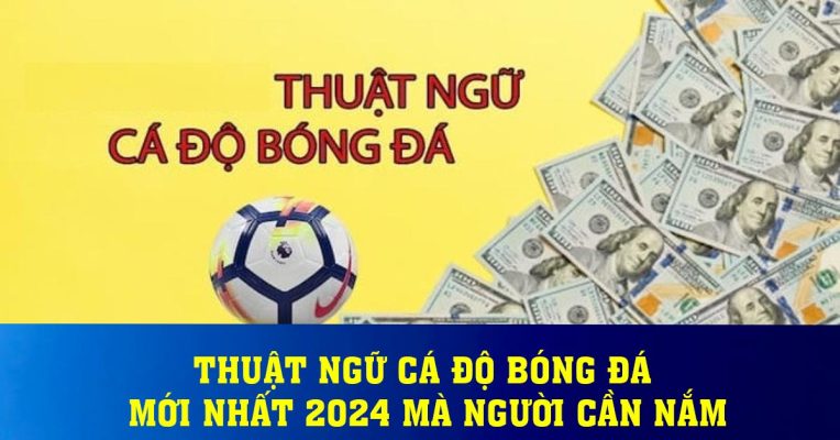 Thuật ngữ cá độ bóng đá mới nhất 2024 mà người cần nắm